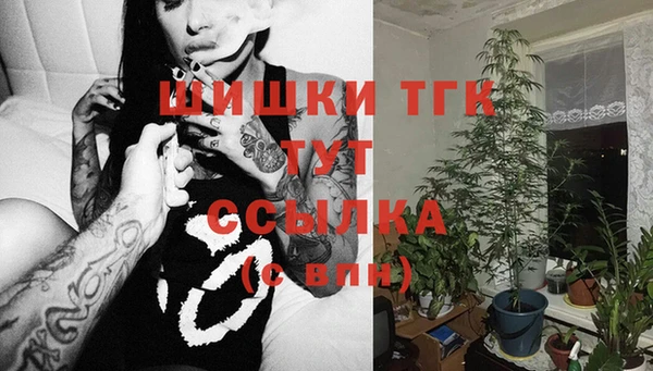тгк Козельск