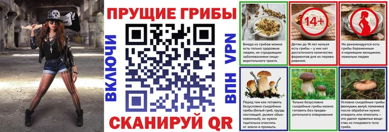 Купить где  Великие Луки  Псилоцибиновые грибы мицелий 